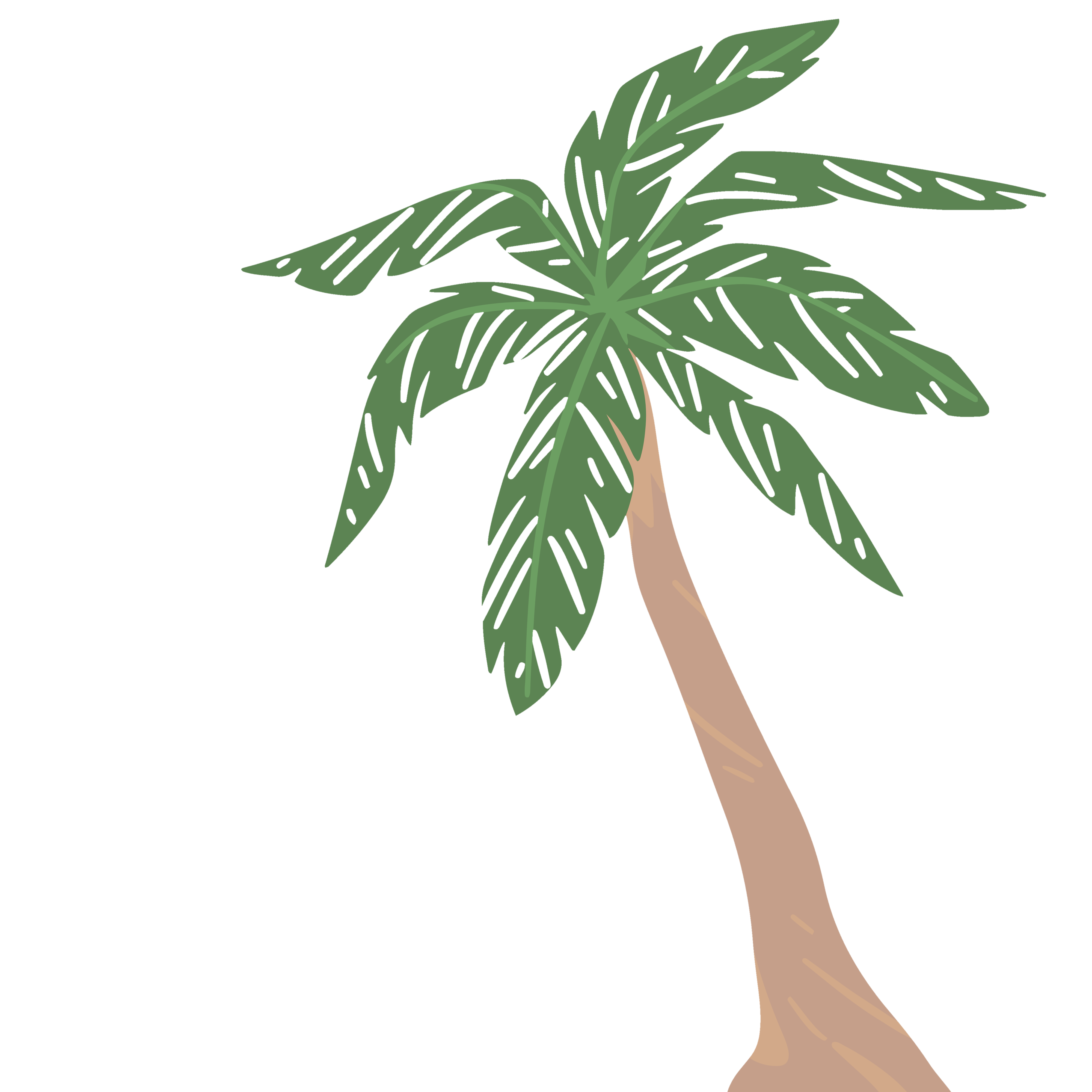 Palm